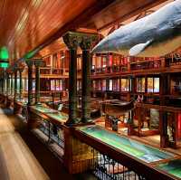 Visit Bishop Museum 