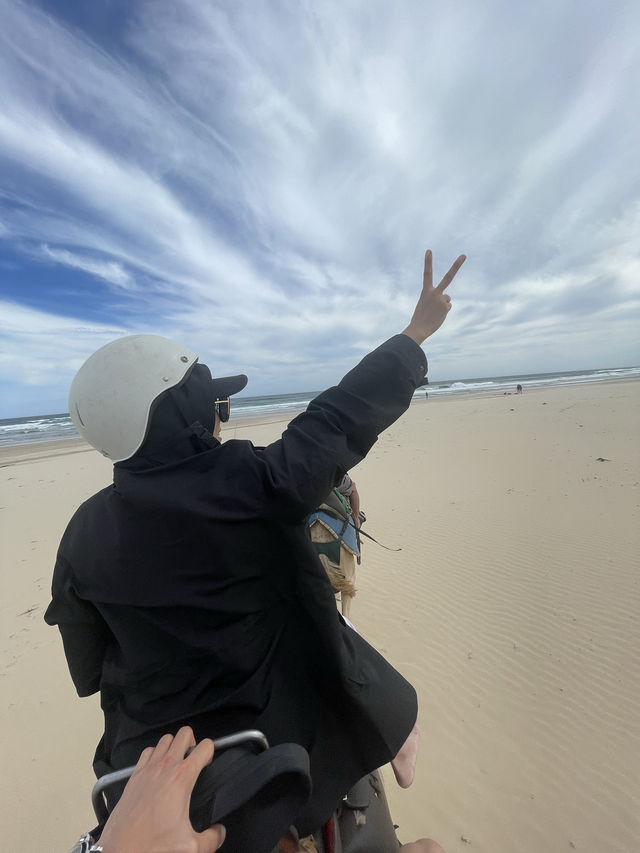 澳洲-紐卡斯爾Newcastle///駱駝之旅