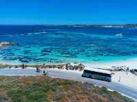 Salmon Bay