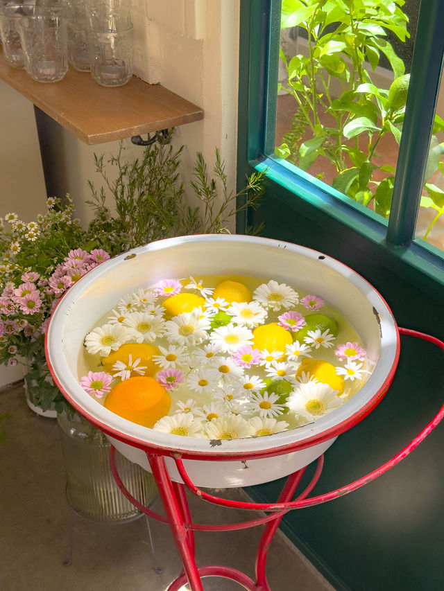 푸릇푸릇 온실 느낌 가득한 전포카페🌱 