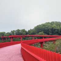 สะพานแดง ในป่าเมืองจีน深圳树林里的红色桥
