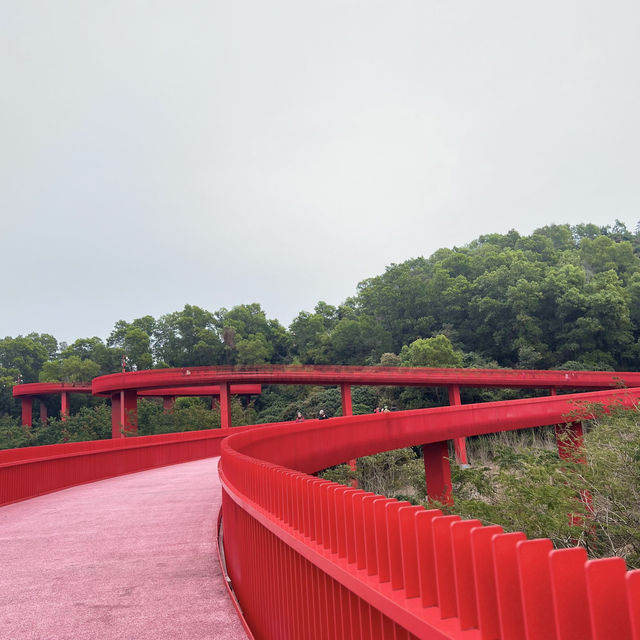 สะพานแดง ในป่าเมืองจีน深圳树林里的红色桥
