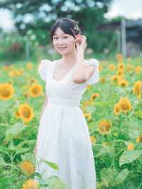 太陽花真係影極都唔厭🥰