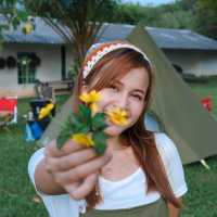 🏕️ พิมพ์ภาภัทรฟาร์ม เขาจุกลานกางเต็นท์ ระยอง⛺️