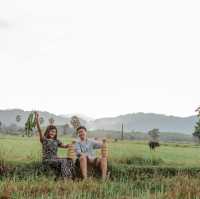 ชุมชน #บ้านตะโหมด จ.พัทลุง