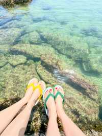 【福井】丹生白浜海水浴場で沖縄気分！🌴🌺𓈒𓏸