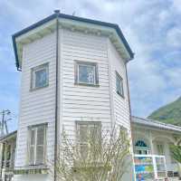 ชมซากุระที่สถานีรถไฟ MISUMI station