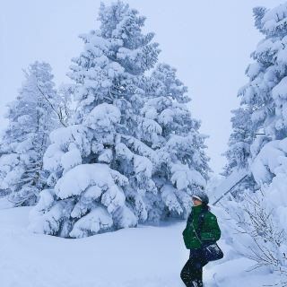 「山形藏王樹冰」1月下旬至2月最佳觀賞時期，優惠套票限時推出！