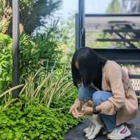 Three Six One 361 - คาเฟ่เมืองสุรินทร์