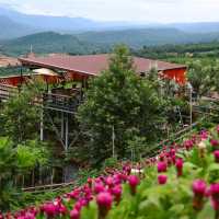 Coffee De haitak & Homestay Phurua