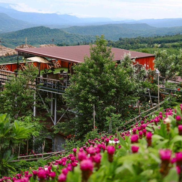 Coffee De haitak & Homestay Phurua