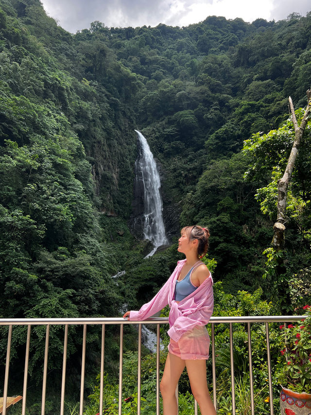 嘉義步道～滿滿芬多精！
