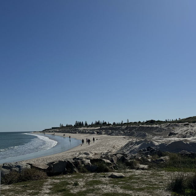 Walk from Glenelg to Grange Beach 🏝️