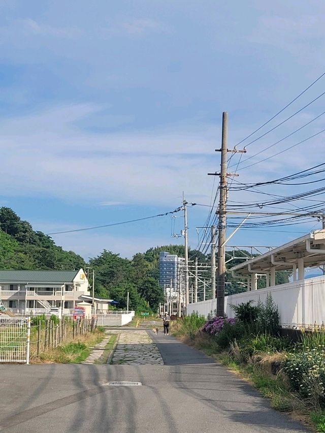 ✨️바다 앞 바이신지 역✨️