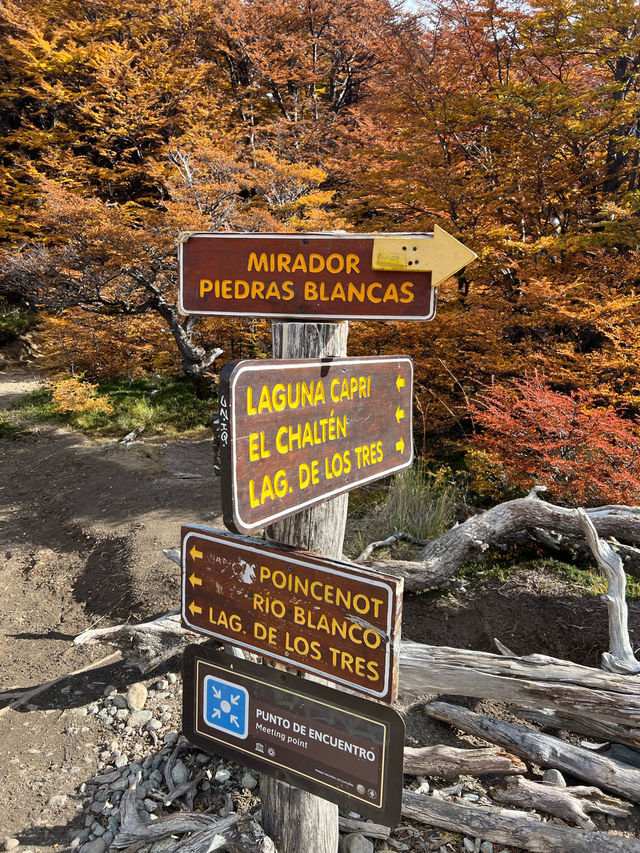 เหมือนภาพวาด ไม่เวอร์เกินไป Patagonia 