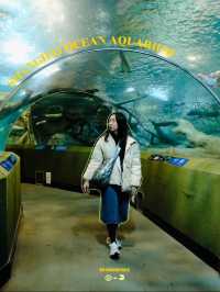 SHANGHAI OCEAN AQUARIUM 🐟