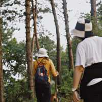 ดอยผาสามเหลี่ยม - เชียงใหม่ 