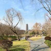 虎跑公園～中式園林之美