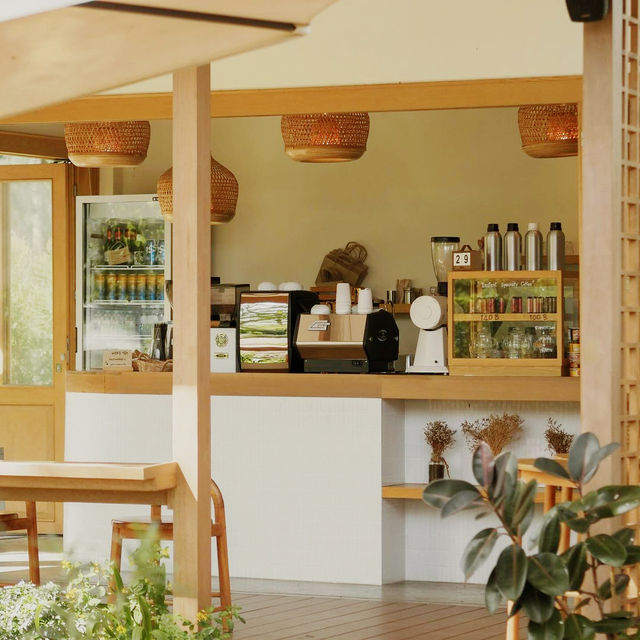 PLIK VIVEK Café HuaHin 