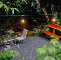 BEE FOREST