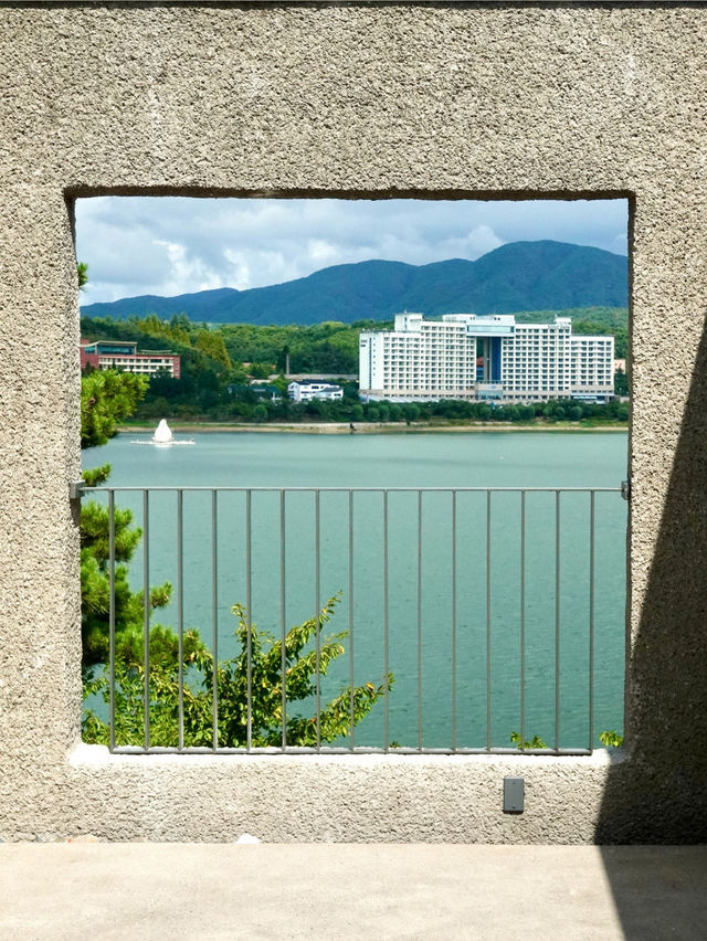 경주 보문단지 뷰 카페❤️엘로우