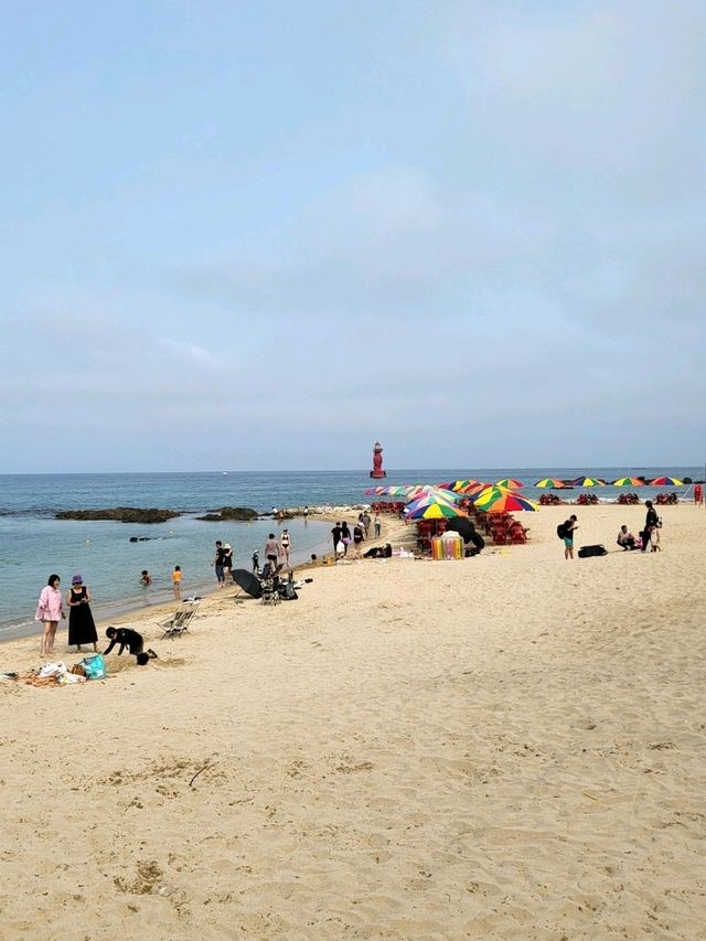 1년에 한번 해변포차가 열리는 어달해변