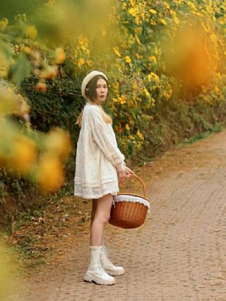The Mexican Sunflower Field