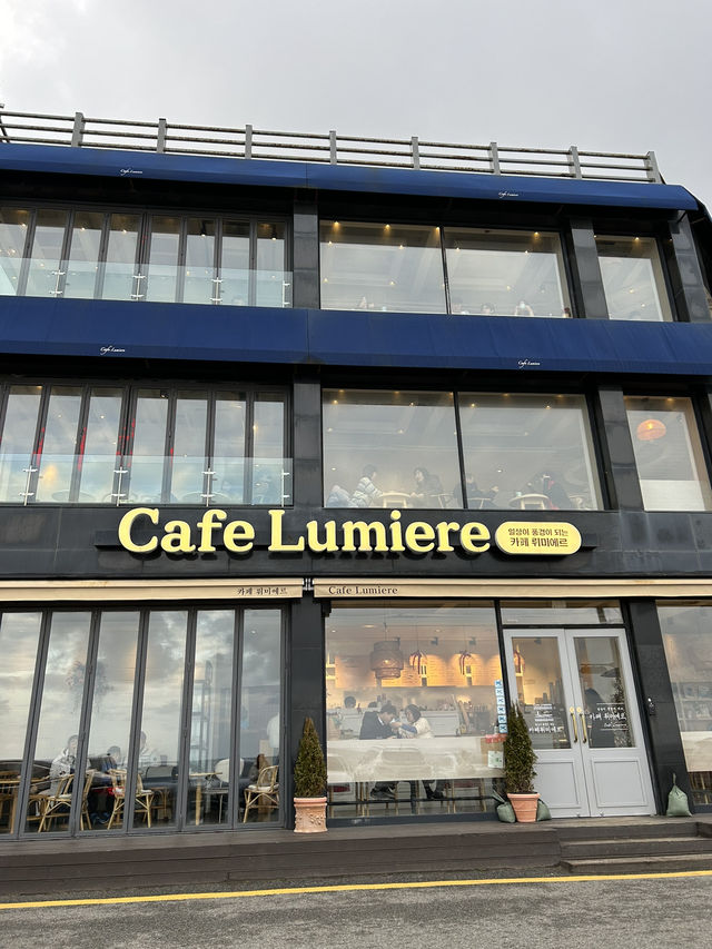 강릉 안목해변 감성카페 추천☕️🍀