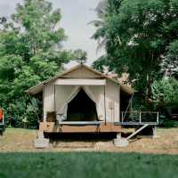 The Tree Riverside ที่พักสวยในอำเภอแก่งกระจาน