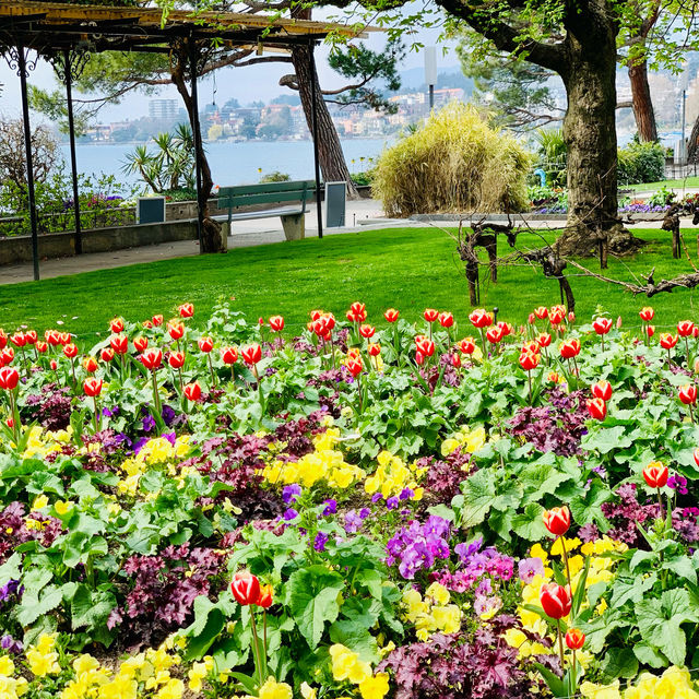 Blossoming Beauty in Montreux: A Lakeside Symphony