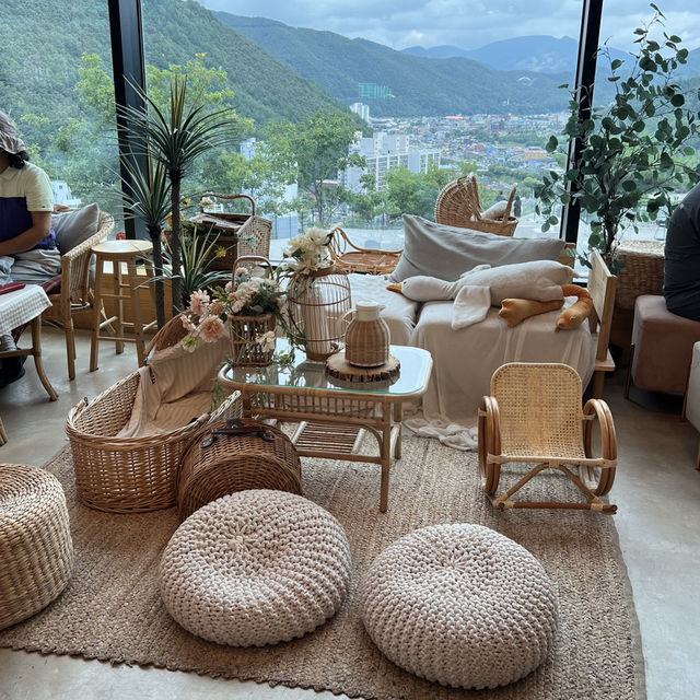 산양 먹이주기 체험이 가능한 태백 몽토랑산양목장!
