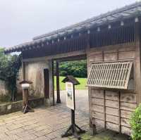 「金瓜石黃金博物館附近，再向上爬欣賞無敵海景」