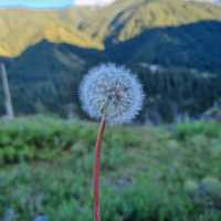 Discover the Unseen Beauty of Almaty
