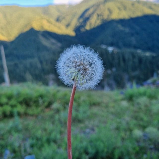 Discover the Unseen Beauty of Almaty