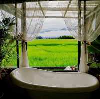 Viewna Little Home 
