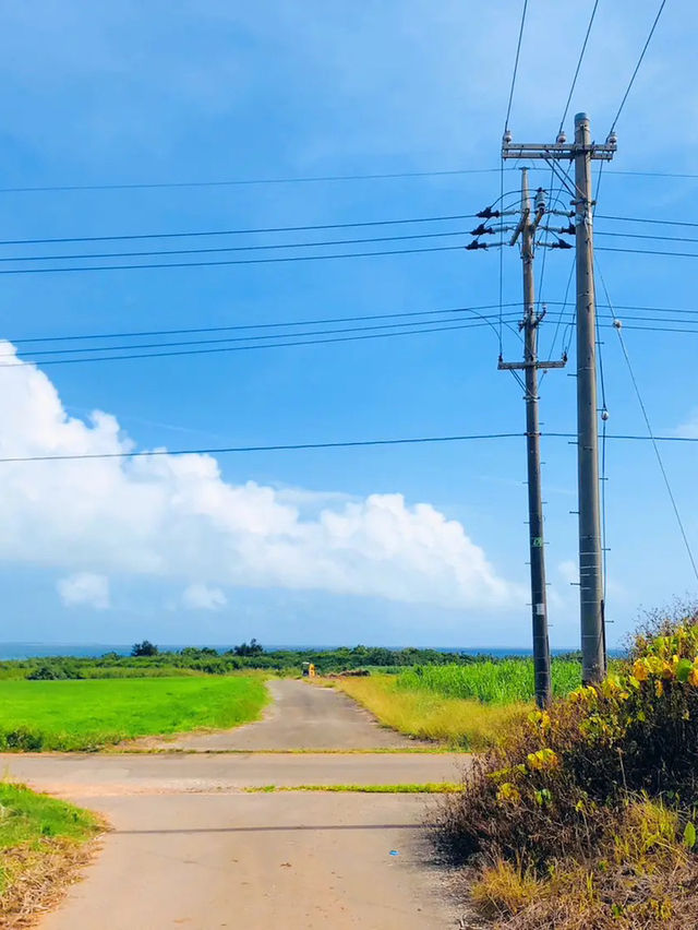 小浜島でサイクリング🚲