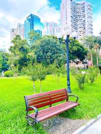 A Peaceful Escape in the City, Shenzhen Lizhi Park