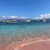 Blushing Shores: Falling in Love with Komodo's Pink Beach