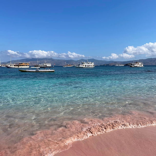 Blushing Shores: Falling in Love with Komodo's Pink Beach