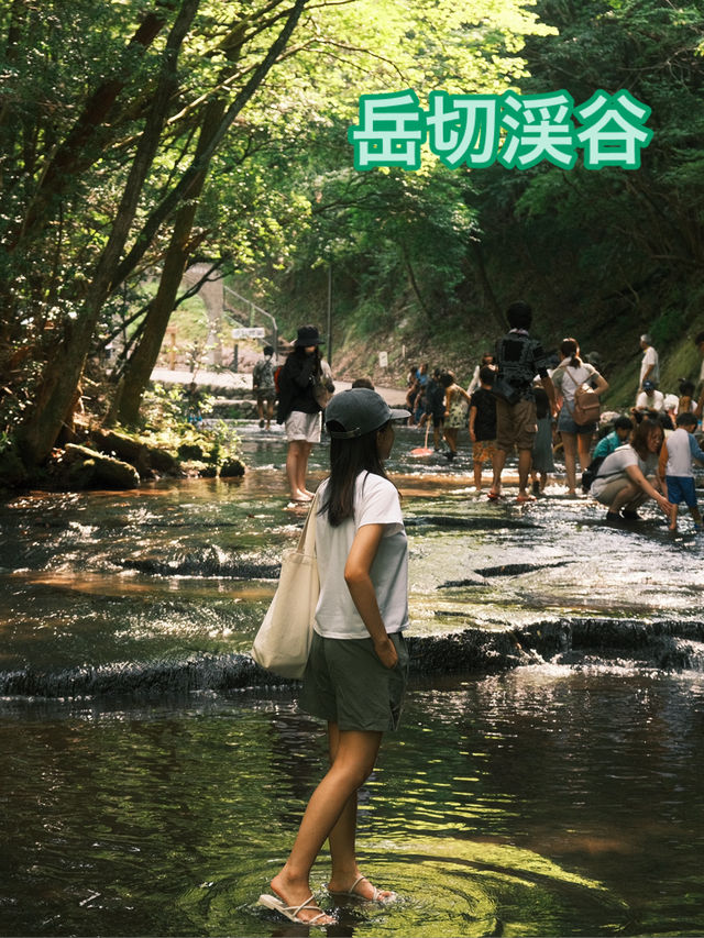 大分〜宇佐〜岳切渓谷