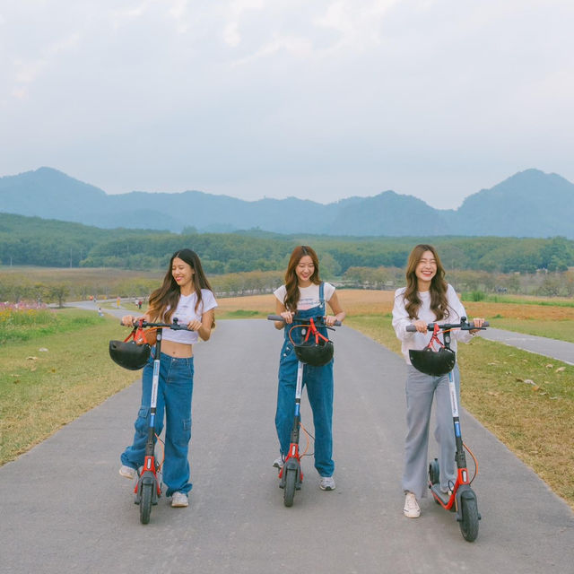 สิ้นปีนี้มารับลมหนาวกับบรรยากาศดี ๆ 🛴🌳