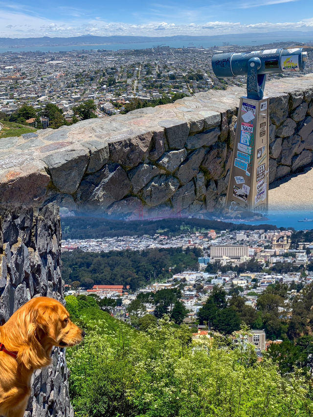 Stunning San Francisco: A Breathtaking Cityscape from Twin Peaks