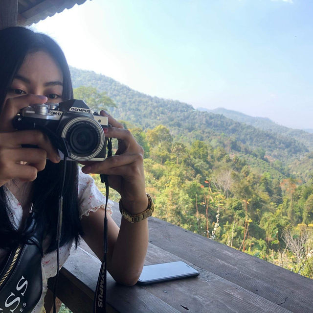 ไร่ชาลุงเดช เชียงใหม่ 🌱