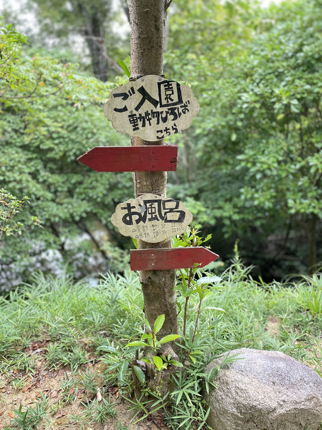 【淡路島】大自然の中のコテージ