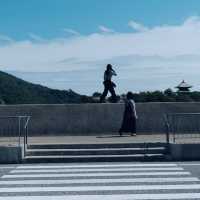 來一場洗滌心靈的尾道浪漫旅