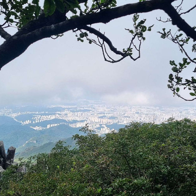 광주 1등산?