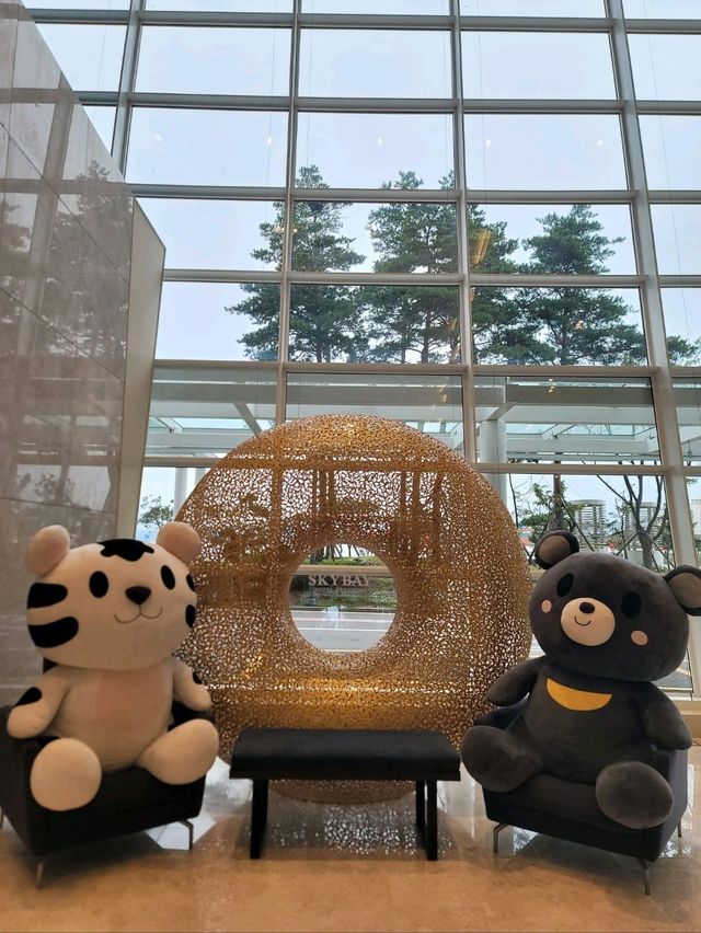 언제가도 좋은 강릉 호캉스 명소🩵