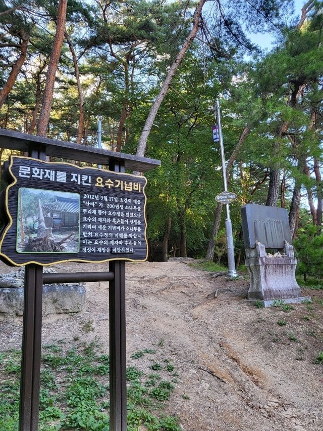 드라마촬영지였던 거창수승대 거북바위