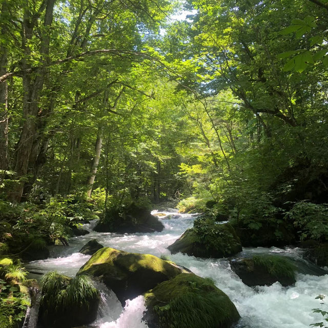 布滝：綠意盎然的自然🌿💦