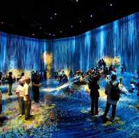 Tokyo Teamlab Borderless